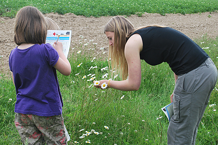 Families and children were welcomed to take part in the survey - giving a valuable insight into ecological management on farms.