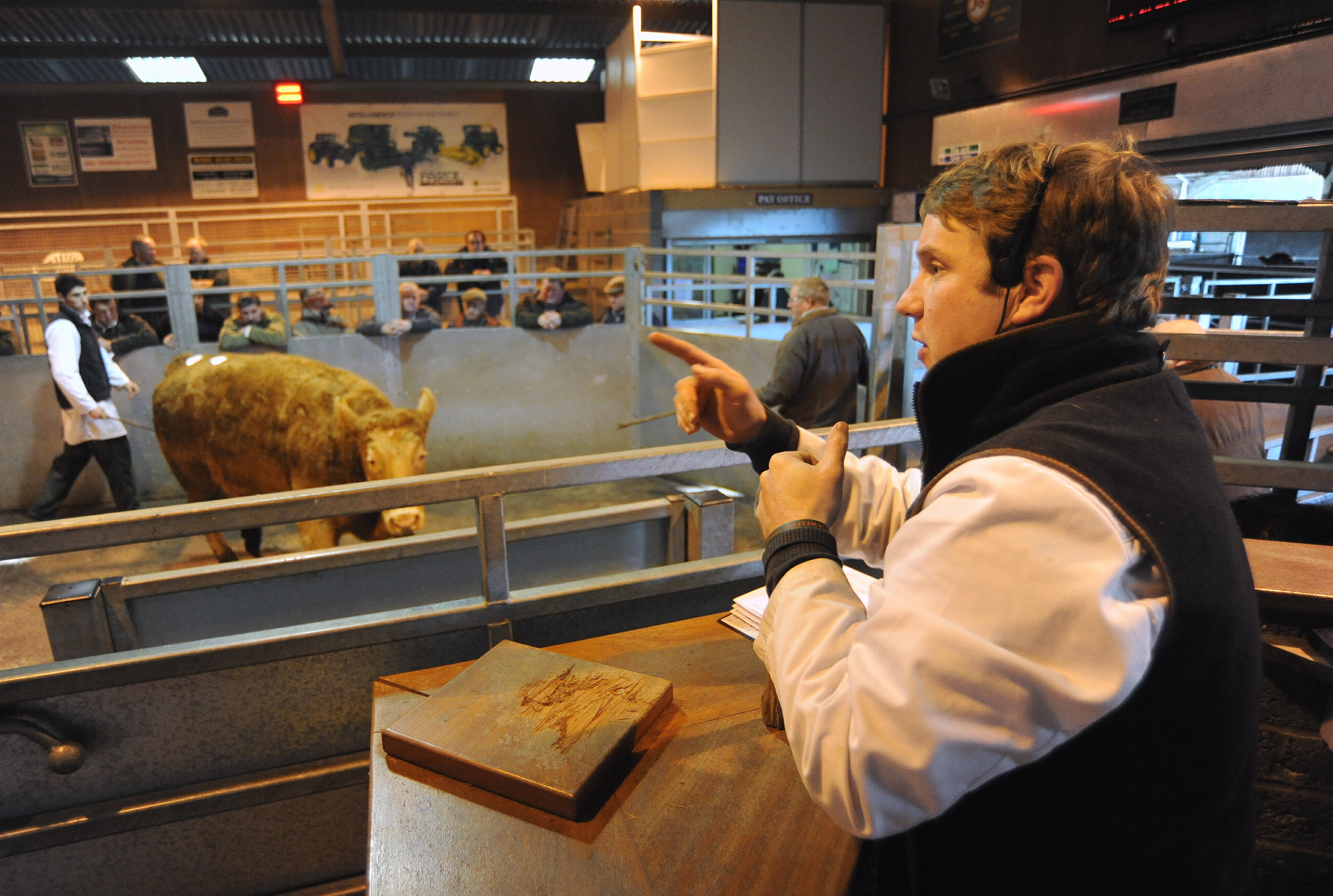 Tom Wrench, head auctioneer at RFM, in action