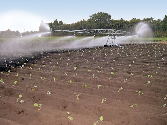 The Bauer Rainstar A3 can operate an irrigation boom to provide the most even distribution of water possible.