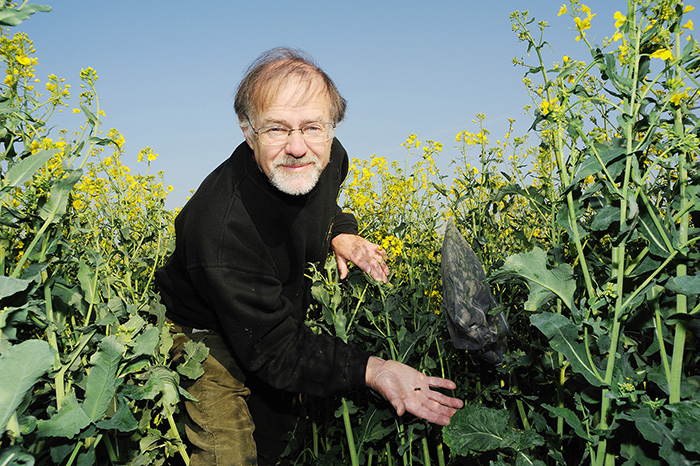 Mike Edwards & Mason bee in flowering rape trial