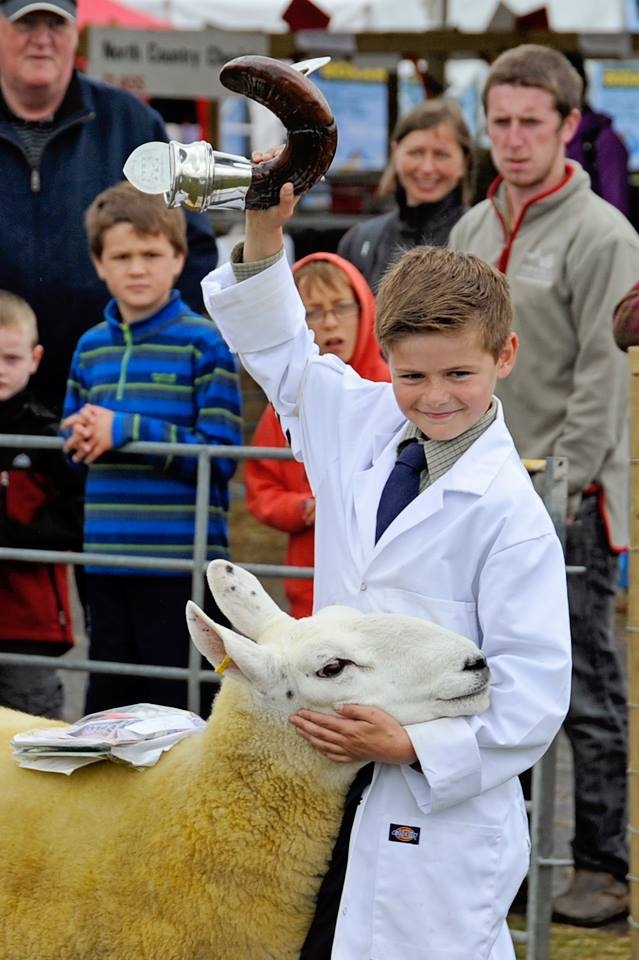YOUNG HANDLERS CHAMPION: Joe Williams with his three-crop ewe from the Llwyncrwn flock of Julie Earl, Carmarthen.