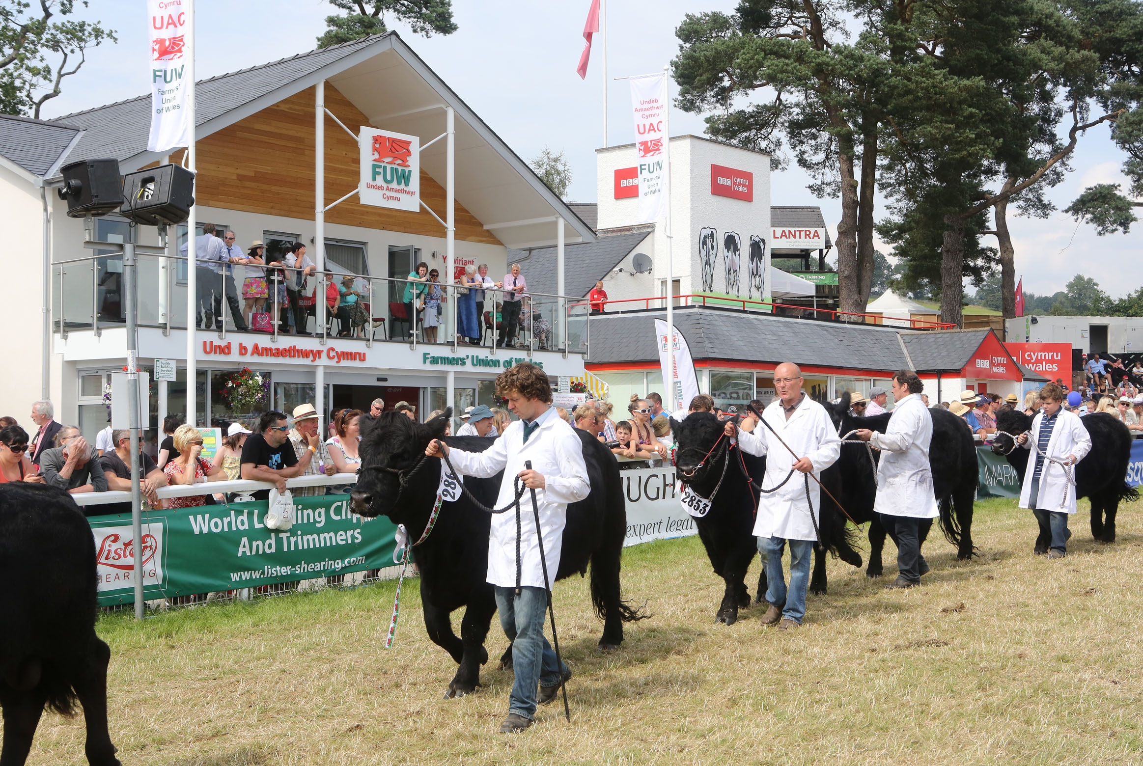 FUW PAVILION: A hive of activity.