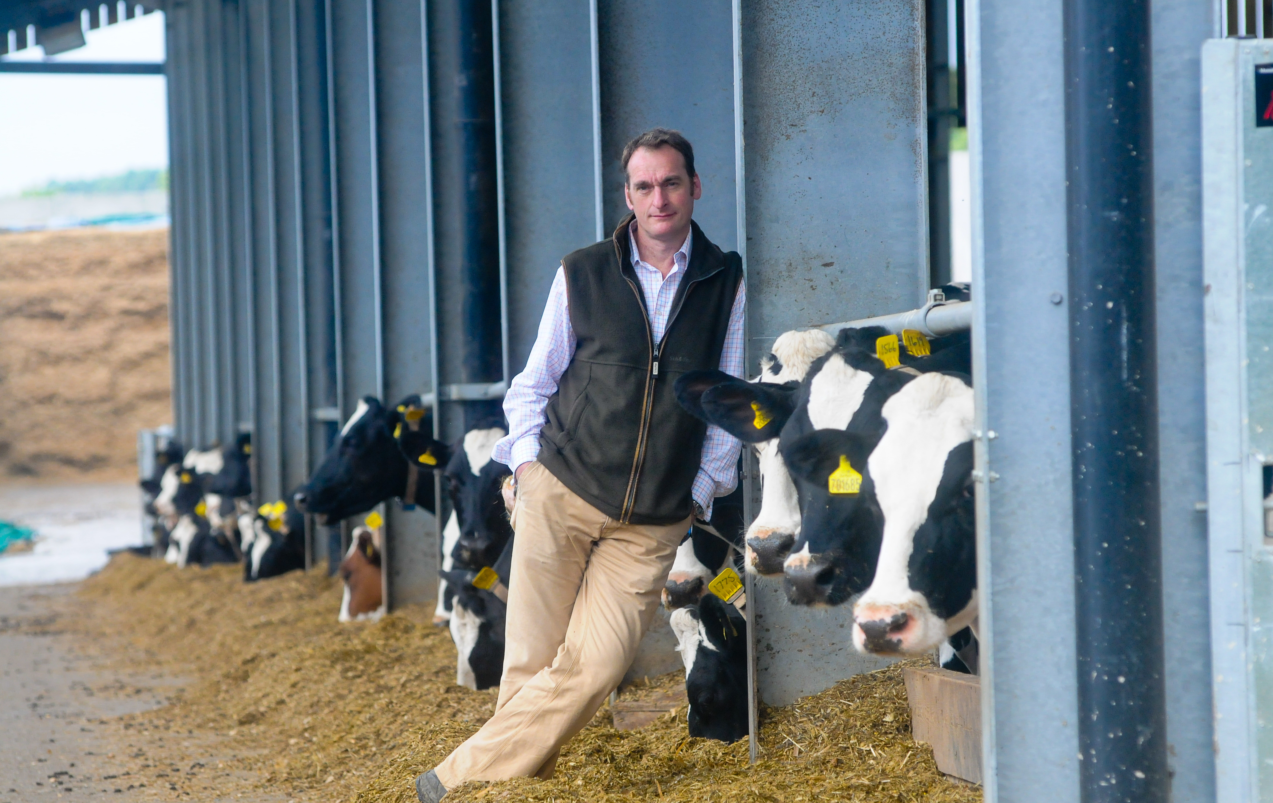 Gavin Davies, Farm Manager at Stowell Dairies
