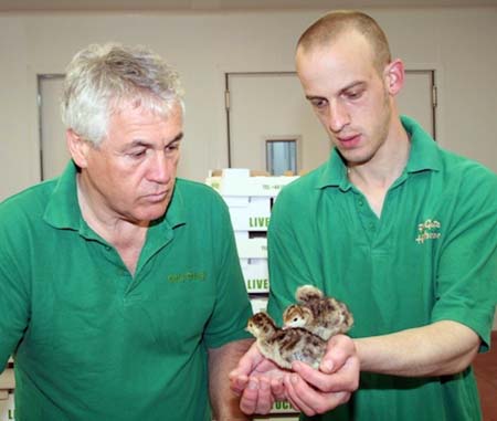 Paul Kelly [left] with Shane Lodge, hatchery manager