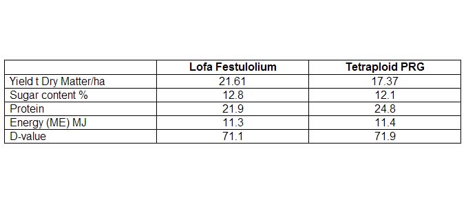 Comparison of yield and feed quality between Lofa and a standard tetraploid perennial ryegrass (PRG).