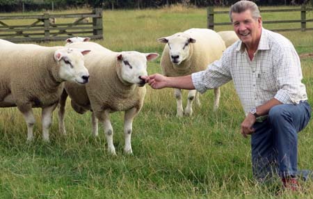 Stephen Curtis with some of his top-scoring Texel rams