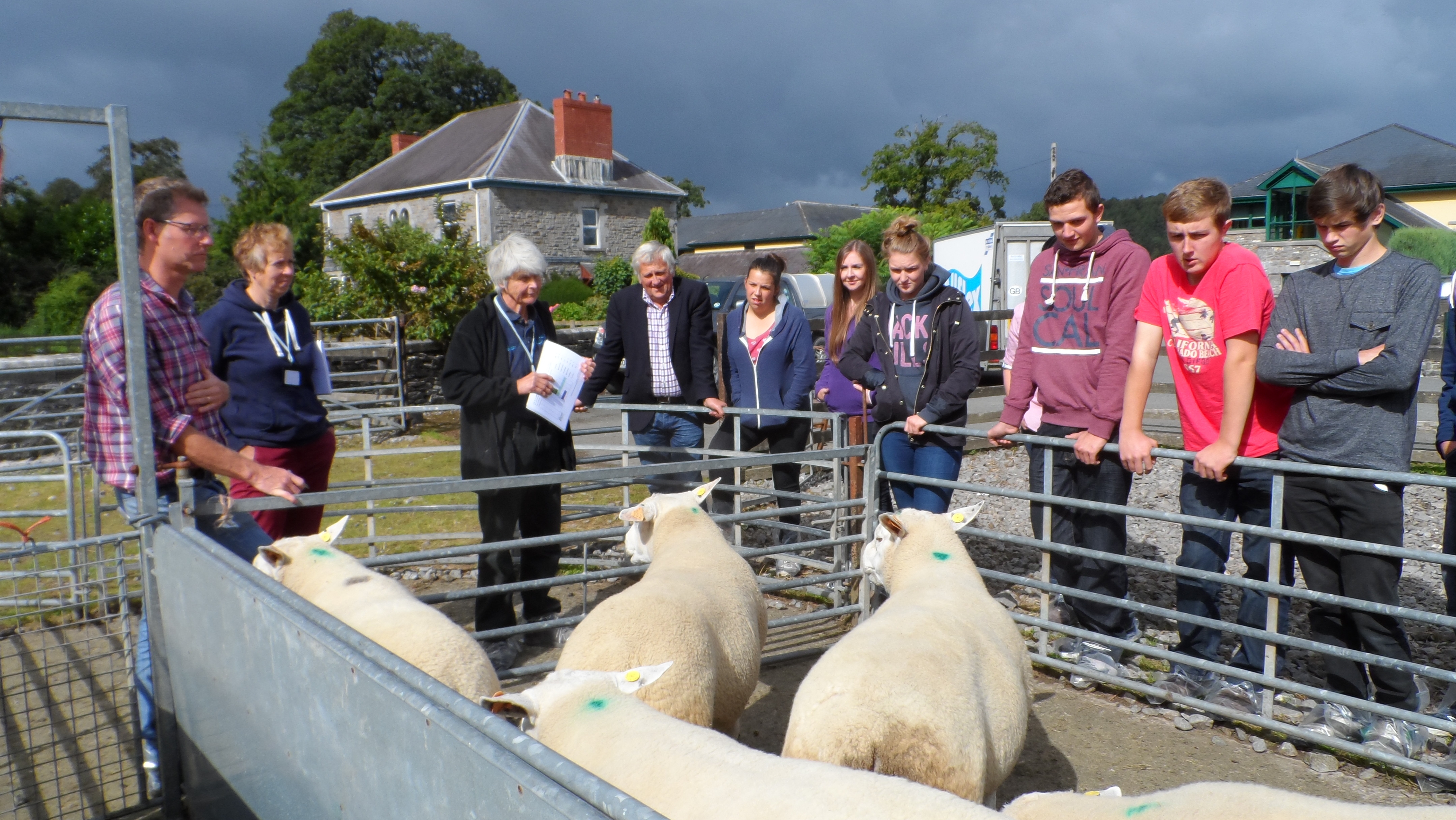 SHOWING INTEREST: First year Gelli Aur College students learn about performance recording for rams at the genetics showcase and field day.