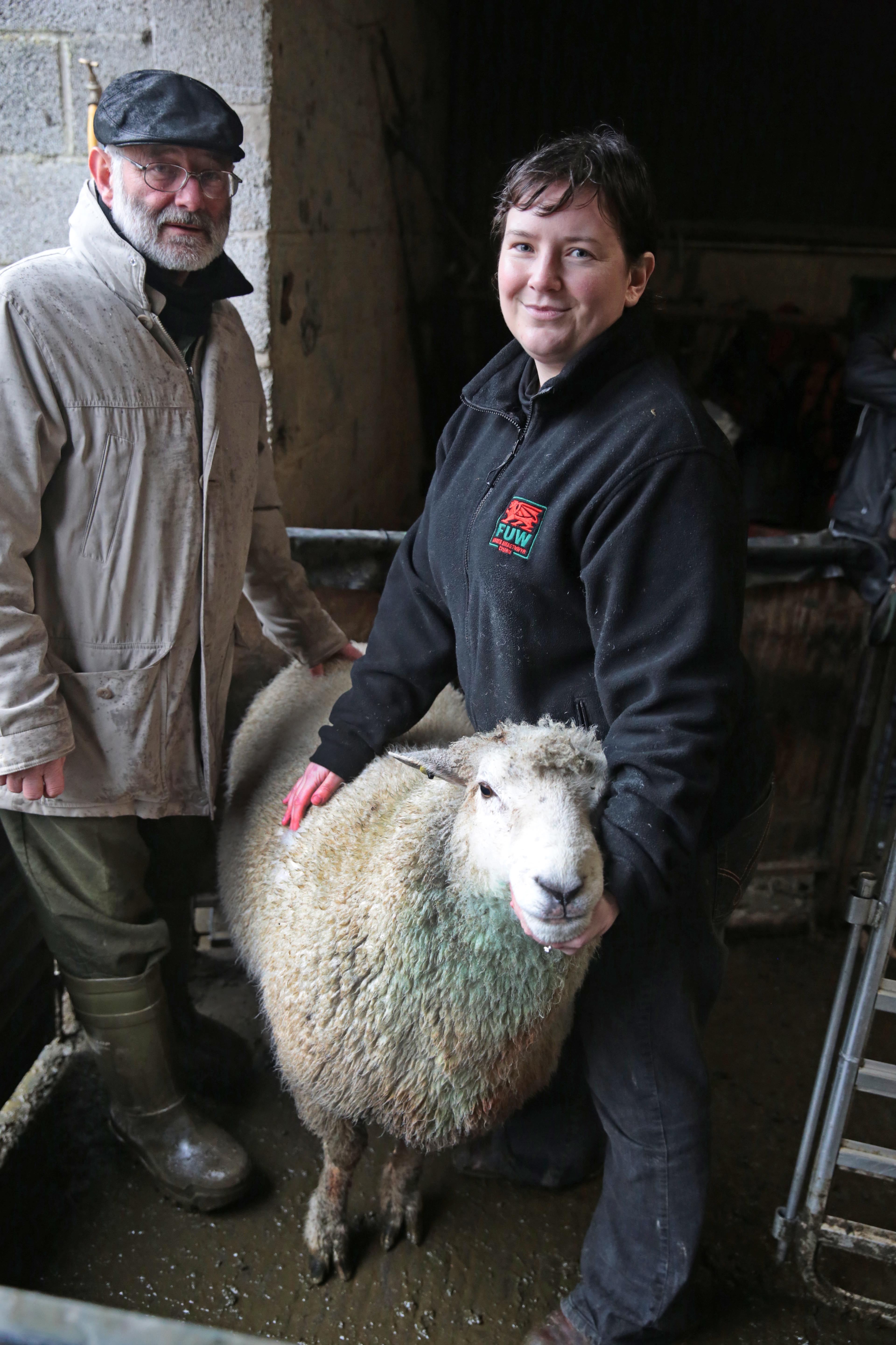 Catherine Nakielny and her father Edward with a high index performance recorded ram being evaluated on-farm.