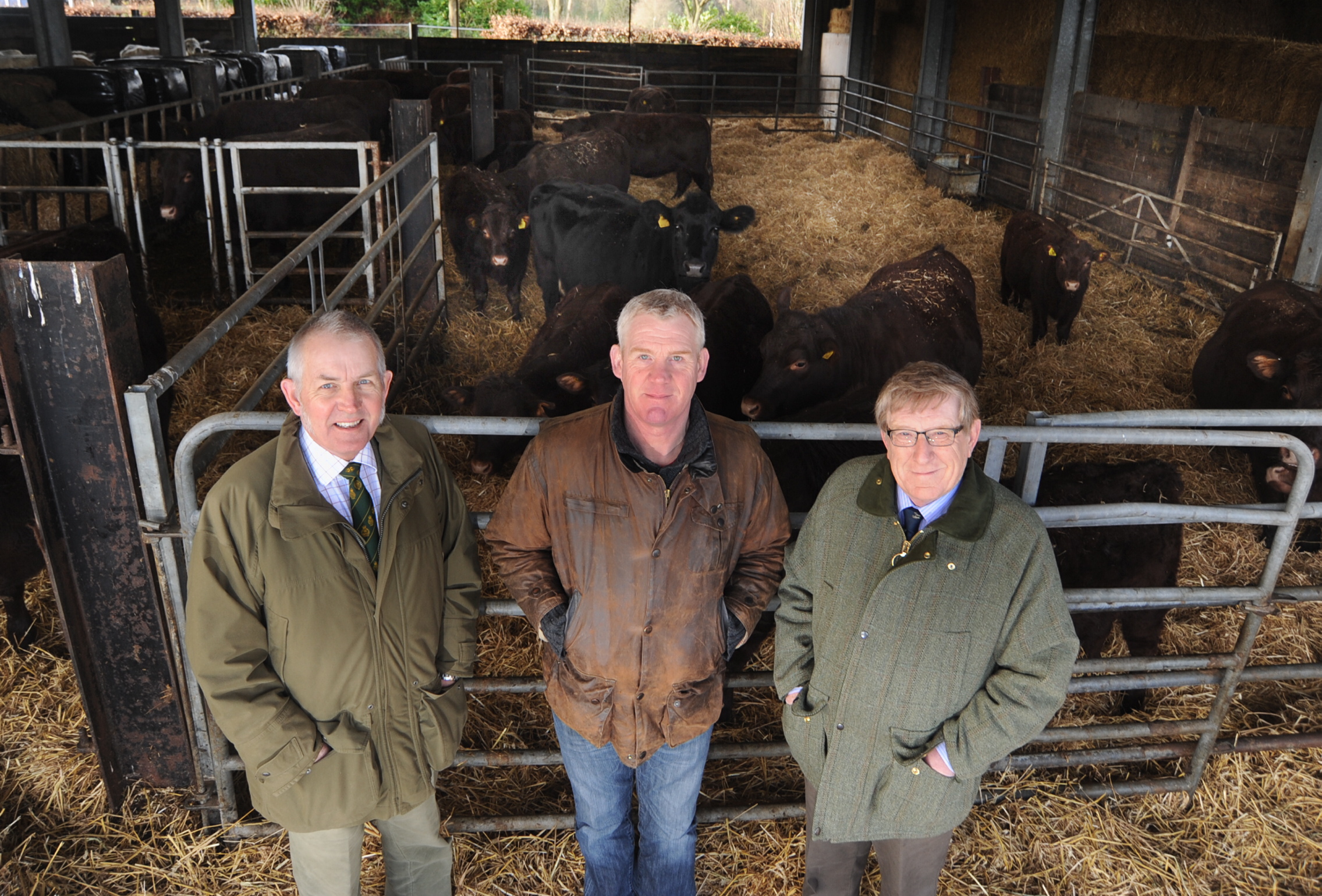 left to right - Gordon Gatward, Charlie Weetman and Richard Fonge from the Kenilworth Show organising committee 