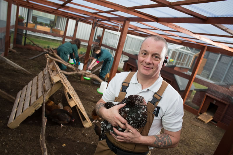 "The numbers had just grown and grown before I knew it, but the birds are very easy to manage. It is just a case of getting into a good husbandry routine."