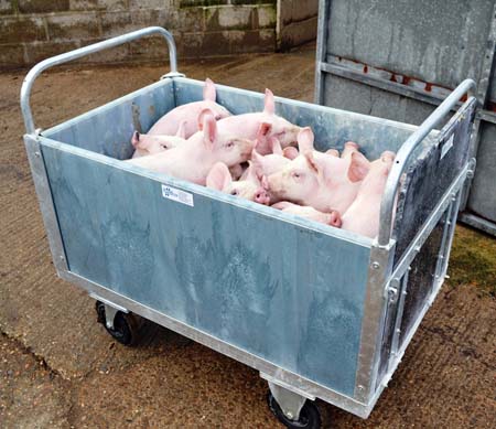 trolley weaners weaner equipment