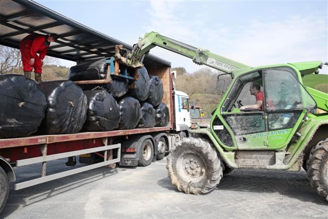 LOADING FODDER: Ieuan Evans and Cefin Evans.