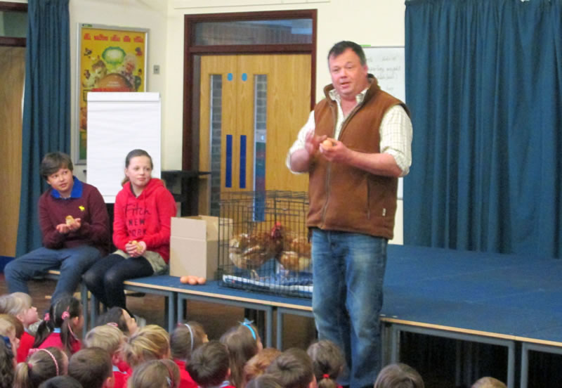 Free range egg farmer Doug Wanstall introduces Wingham Primary Schools students to the birds