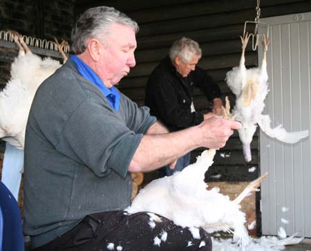 Vincent Pilkington [right] with Paul Kelly busy plucking the turkeys