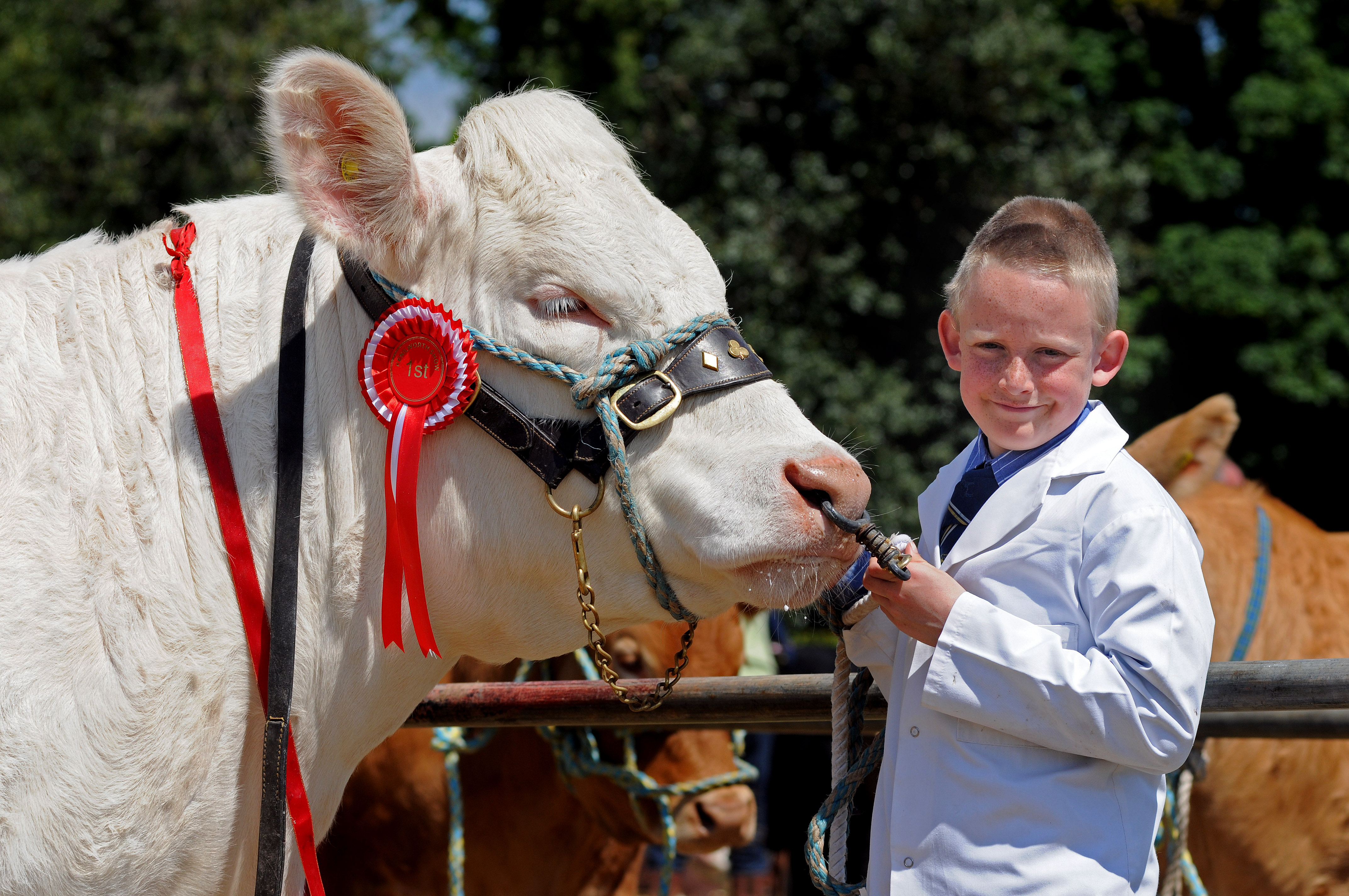 The Kenilworth Show takes place on June 7