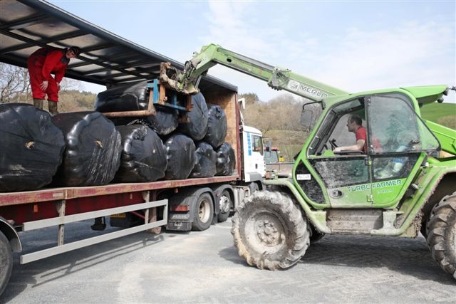 Fodder bales donated by farmers in north Ceredigion and Machynlleth bound for Somerset farms were loaded onto a D J Thomas a'i Feibion lorry at Aberystwyth livestock market. 