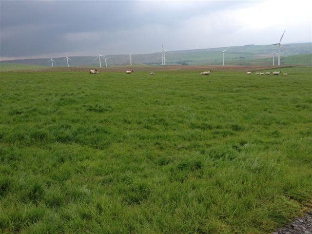 Land farmed by John and Sarah Yeomans categorised as "moorland" by the Welsh Government.