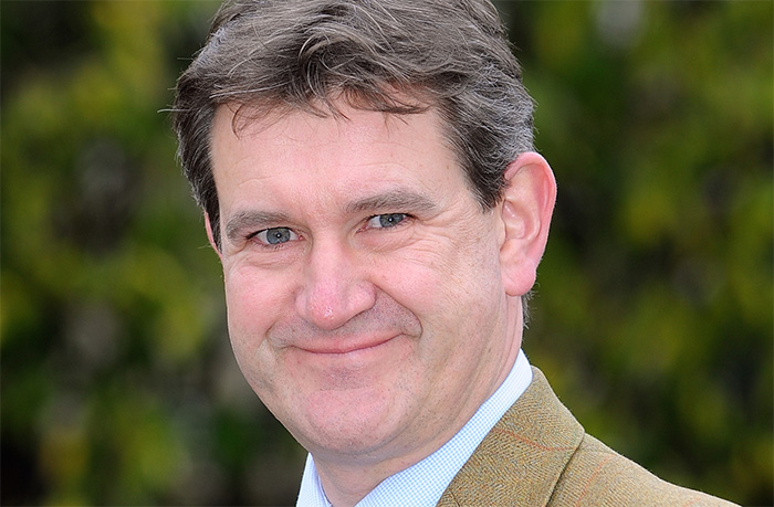 Andrews Fallows