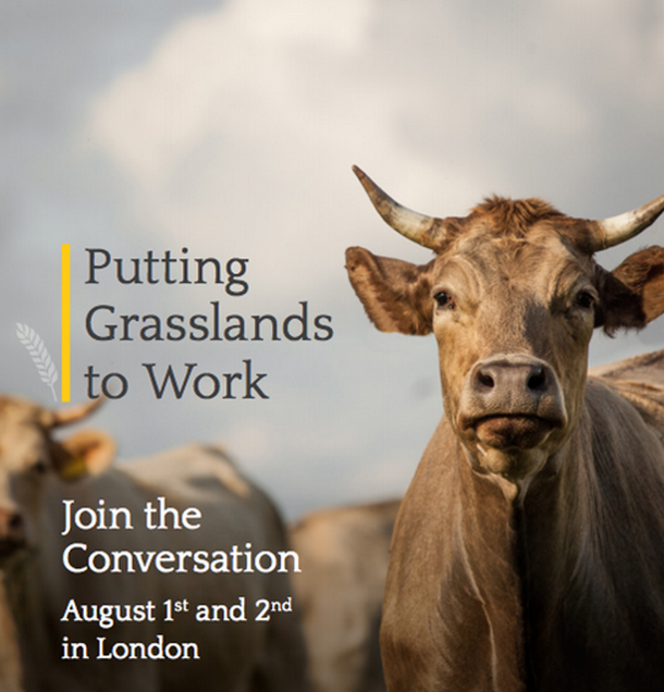 Putting Grasslands to Work: Join the Conversation