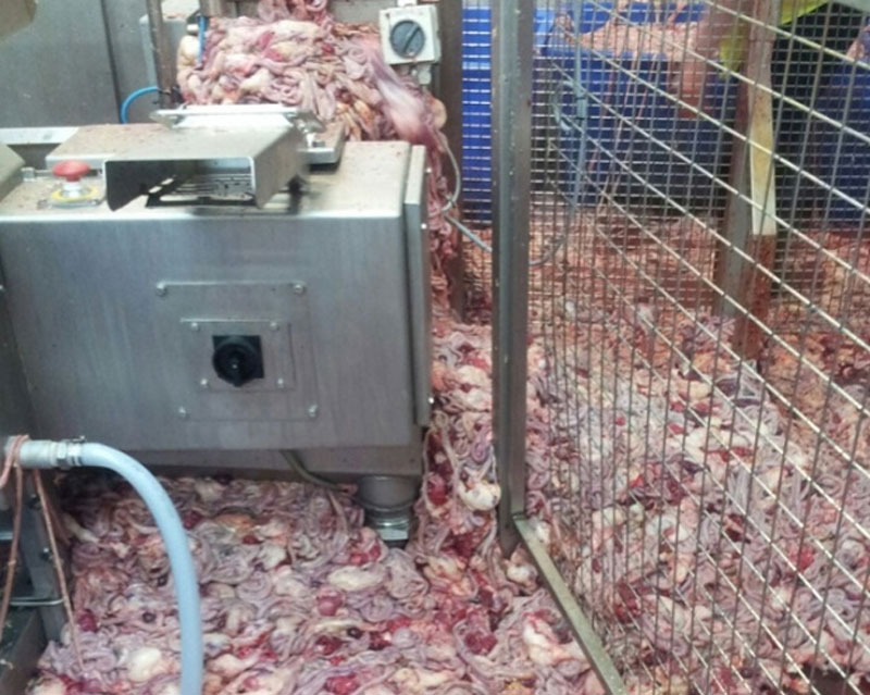 NO - pump system failure