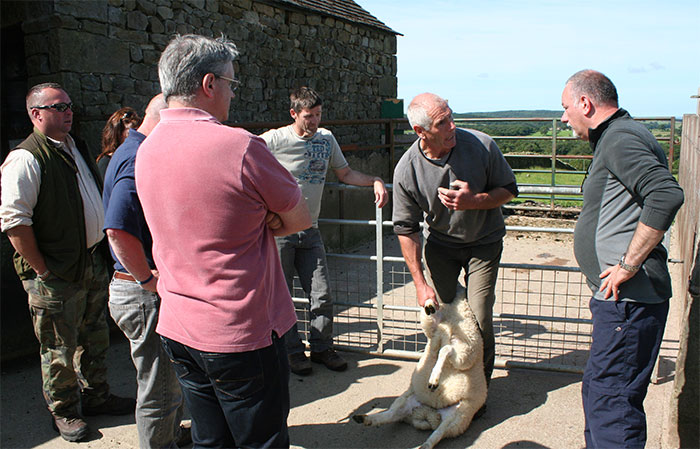John Taylor teaching police sheep handling