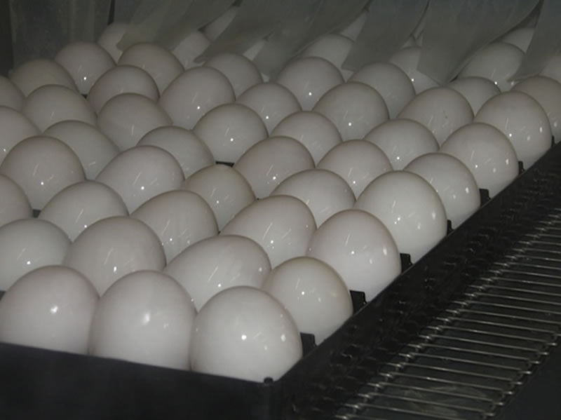 Egg farmer Ian said that demand for his duck eggs was strong