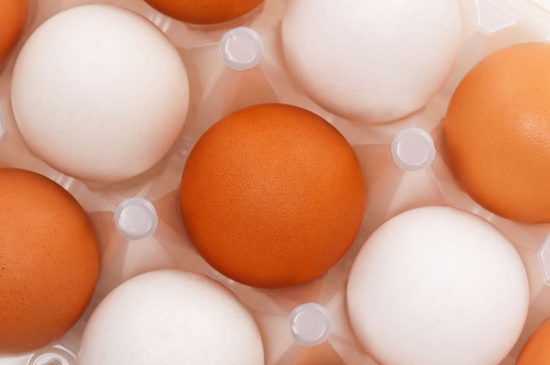 Apart from the UK salmonella contamination of eggs remains a problem in many EU member states