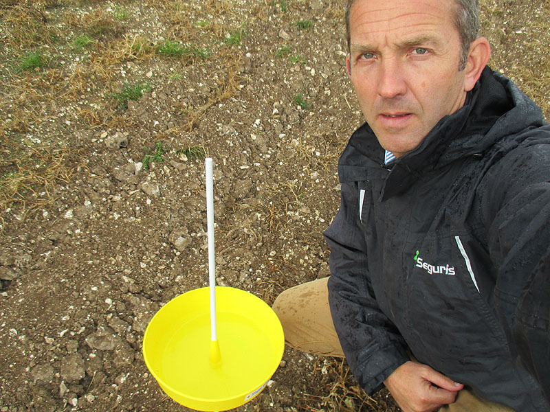 Use informaytion from aphid monitoring to effectively time Plenum applications, advises Simon Roberts.
