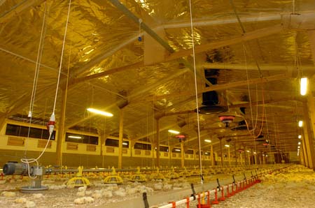  The roof lining Valéron AVA  provides highly effective radiant  barrier and seal