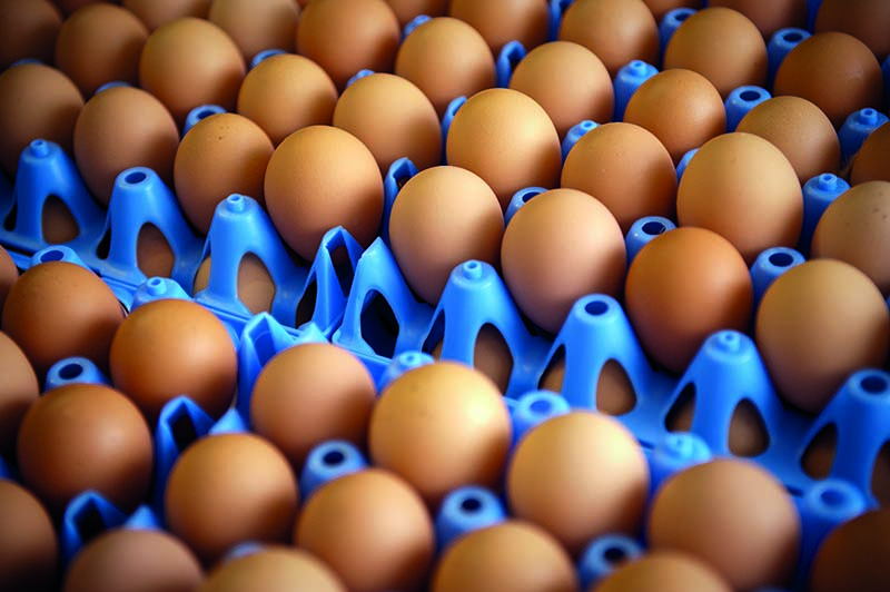 Six days and the eggs will have to be dongraded