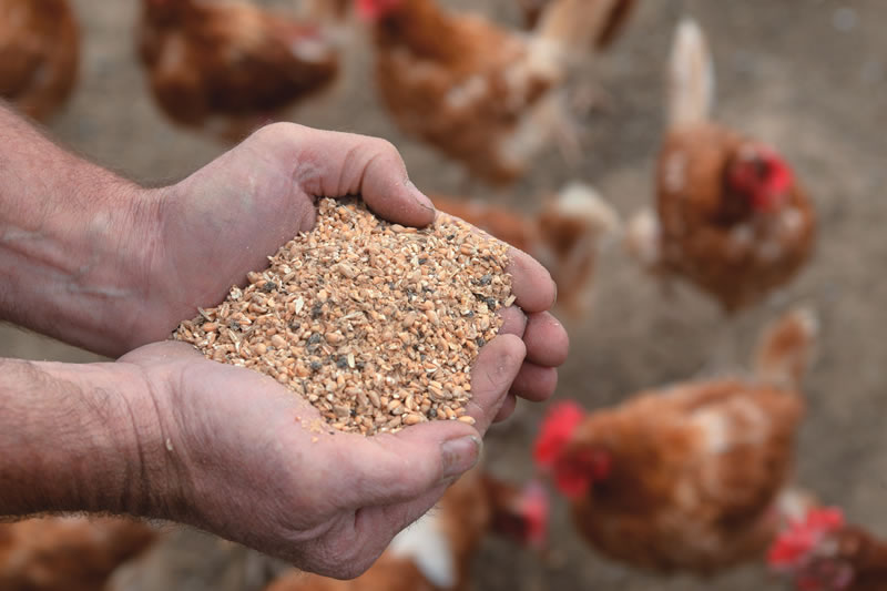 Jason Gittins, who produces the figures for ADAS, told the Ranger that the increase in the feed price appeared to have been driven mostly by an increase in the price of soya