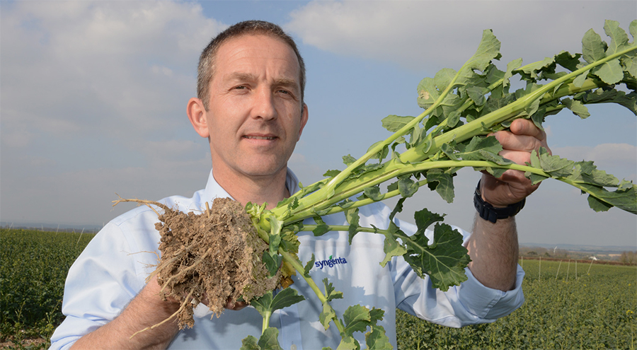 Simon Roberts with split stem OSR