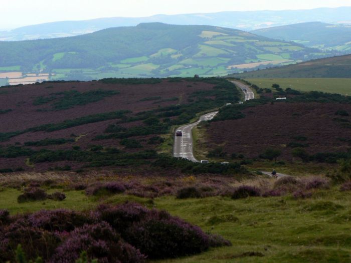 Exmoor