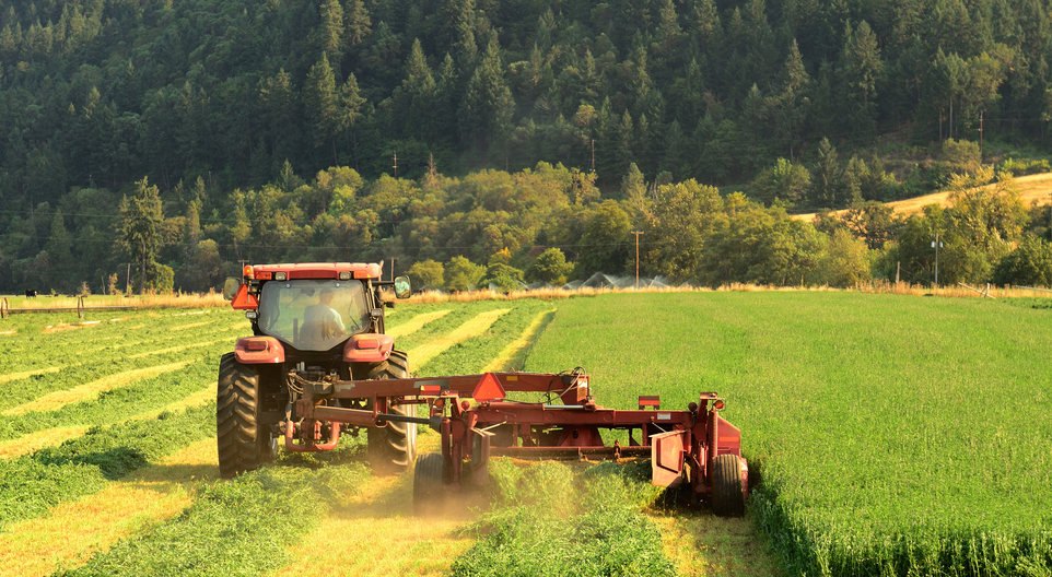 Agricultural jobs bulk handling in Western Australia’s wheat belt, are ideal for working holiday makers.