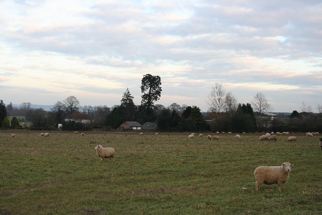 Farmland on the southern edge of Maidstone in Kent