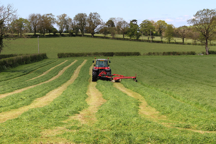 Leading beef and dairy farmers from the UK and Ireland competing to achieve the highest energy yield from grass