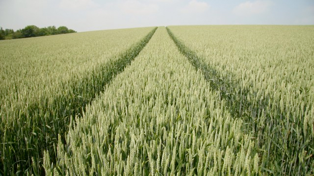 NFU calls for a transparent process as emergency use application is refused