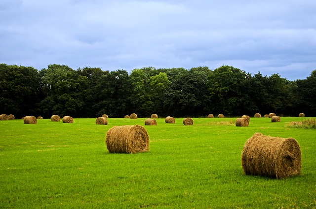 The TFA believes that short term tenancies are holding back progression, investment and sustainable land use