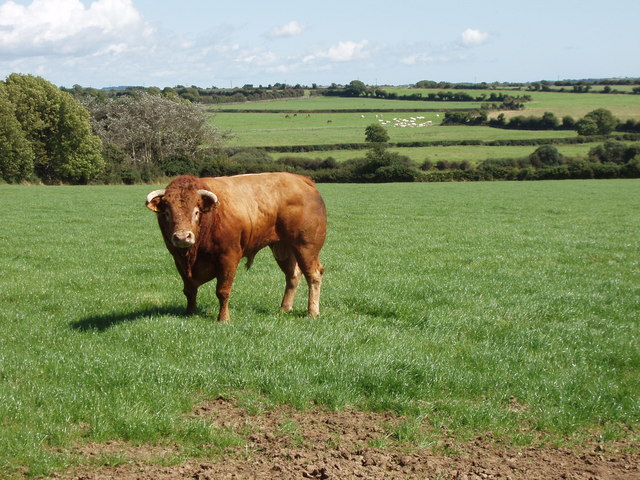 Transport and livestock are two of the five themes of ‘Farm Safety Week’ an initiative led by the Farm Safety Foundation being launched today