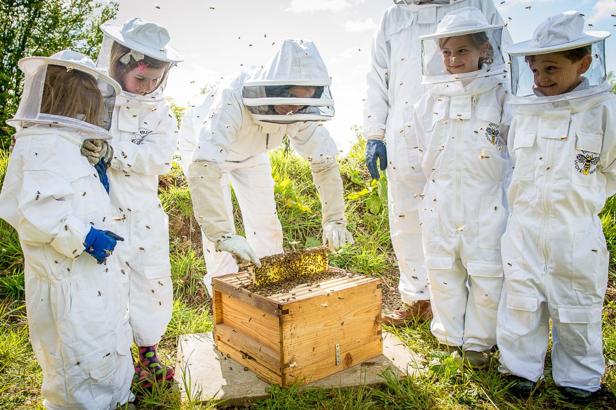 The project originated 18 months ago when father-of-five and doting grandfather, David Paterson, 56, from Strathaven, decided to keep bees in his garden