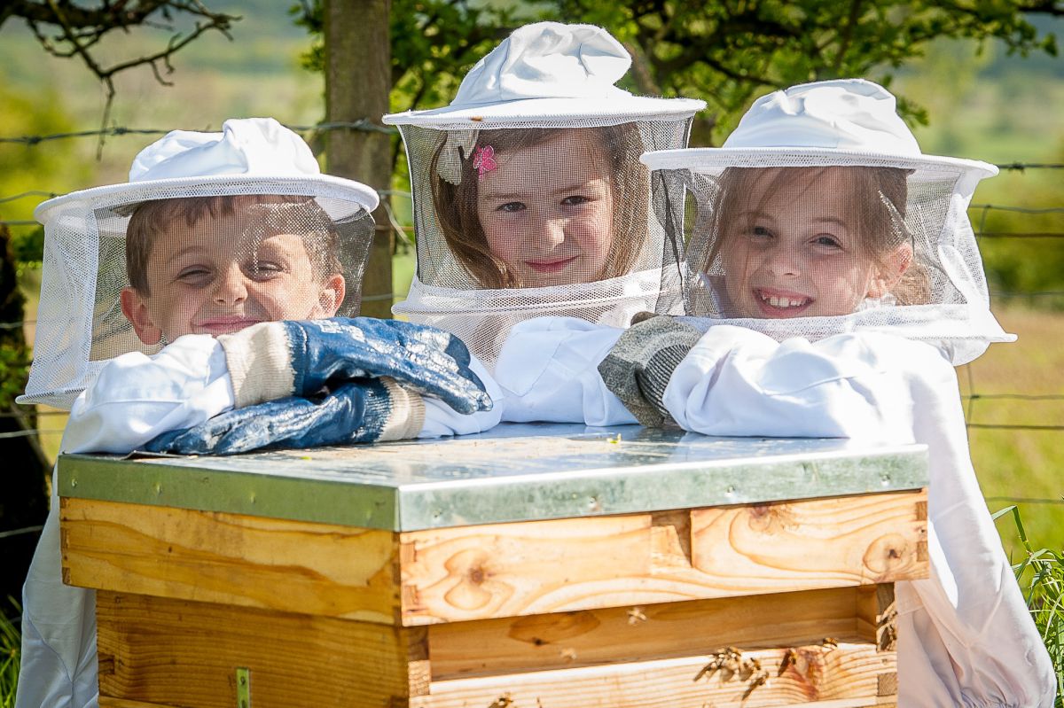 Neighbours soon joined in and following initial funding from the National Lottery the group is now 30-strong, with active involvement from local schools