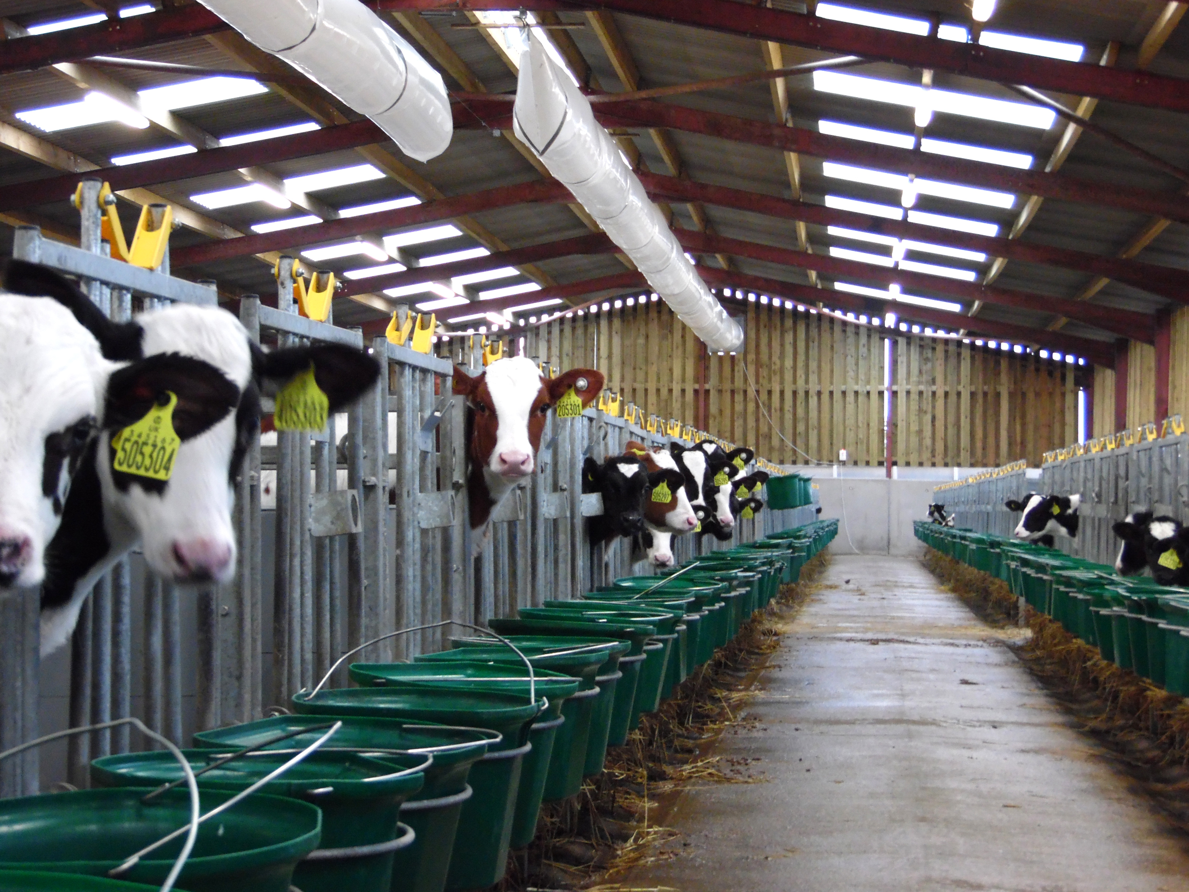 Ventilation sock dairy installation