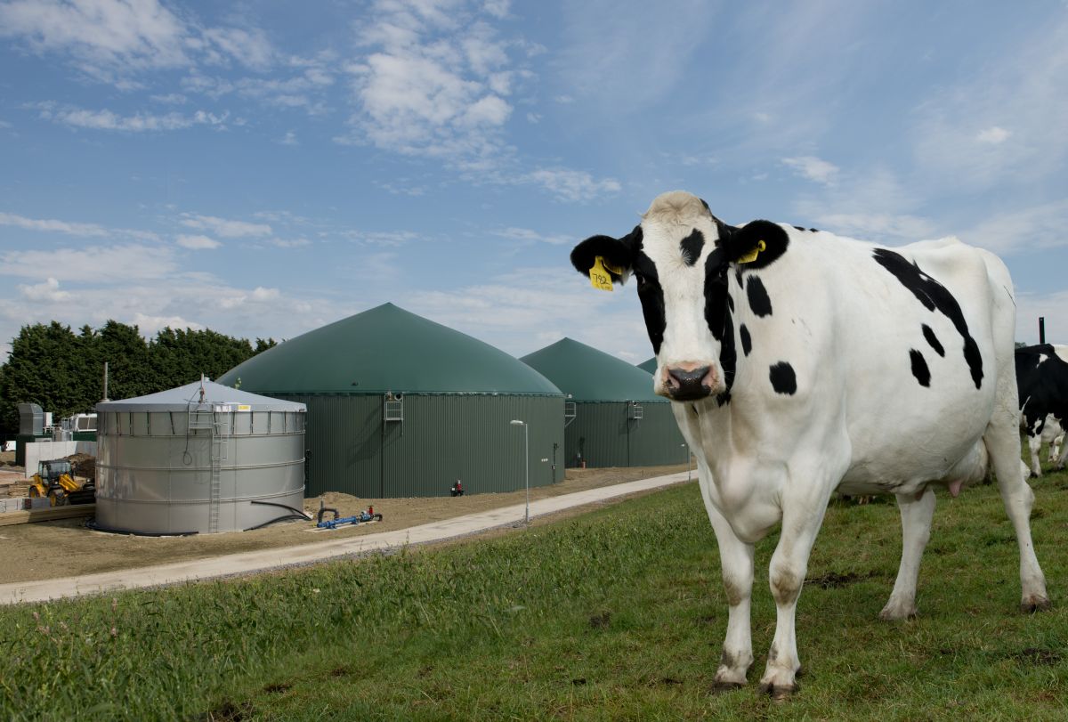 The plant started producing Biogas in December 2014 and production has steadily been increasing through the year