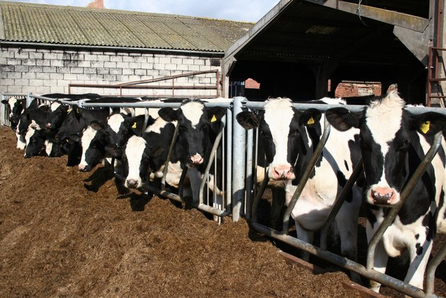 Farmers are concerned about the heavy discounting of milk at retail, as it devalues the product and could reduce the sustainability of the whole supply chain