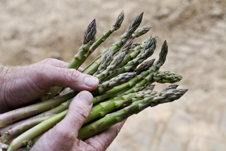 Only a quarter of Brits (24%) always check the label to see where their food comes from.