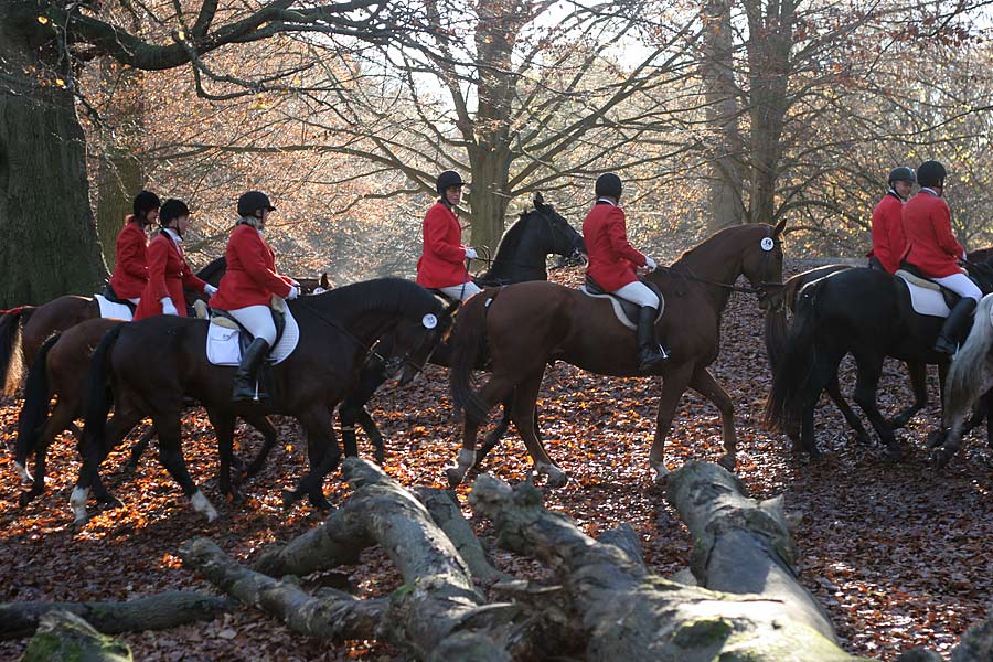 CLA President Henry Robinson said: “The Hunting Act is a bad piece of legislation that doesn’t work as a means of protecting animal welfare or as a set of practical rules for those that hunt to follow"