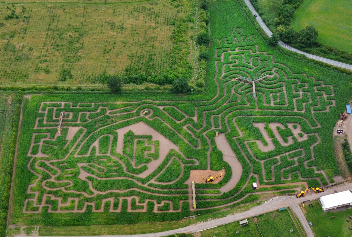 The 10 acre maze at the National Forest Adventure Farm in Burton-on-Trent has been sprouting into life for the past few weeks from 700,000 maize seeds.