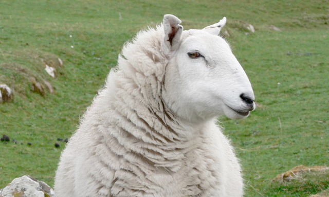 The report continued to show that market prices were below the average cost of production.