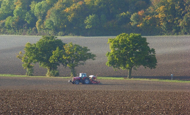 “The UK needs a thriving farm economy creating jobs and growth yet this change may lead to a shrinking horticulture sector, increased imports and falling self-sufficiency in fresh produce” says the NFU