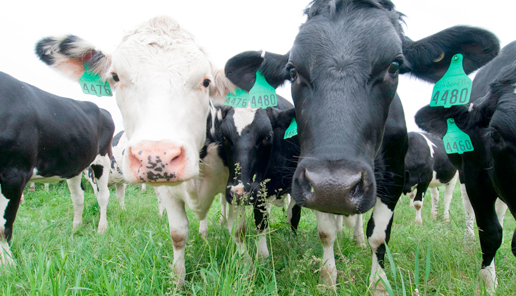 “Dairy farmers across the UK are struggling right now and it’s not getting any easier."